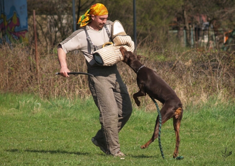 Training 4. 4. 2007